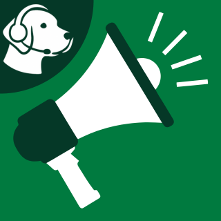 Custom Notifications icon